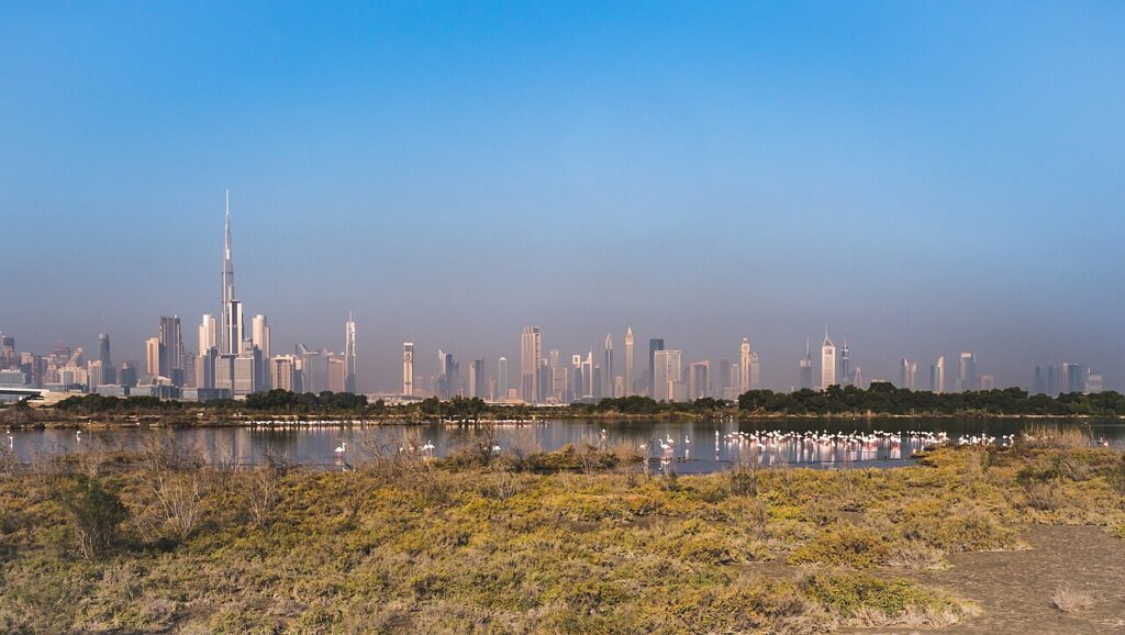 Ras Al Khor Sanctuary